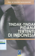 Tindak-tindak pidana di indonesia