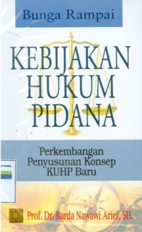 Kebijakan hukum pidana:perkembangan penyusunan konsep KUHP baru