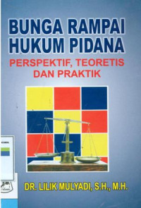 Bunga rampai hukum pidana:perspektif,teoretis dan praktik