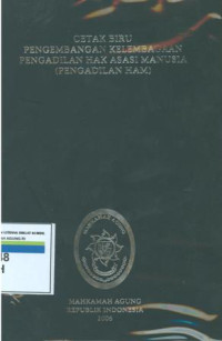 Cetak biru pengembangan kelembagaan hubungan pengadilan hak asasi manusia (Pengadilan HAM)