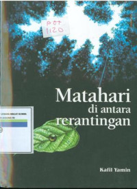 Matahari di antara rerantingan