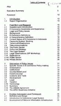 Information Infrastructure Development Project